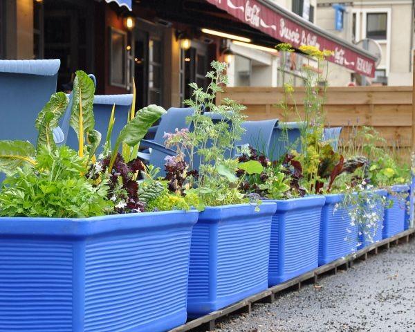 Balconnière en polyéthylène - 870mm x 400mm x 395mm - 140L - Résistante aux UV et chocs - 4 couleurs - Fabrication française_2