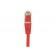 Cordon RJ45 CAT 5e F/UTP rouge - blindé cuivre - 0,3 m - norme ANSI/TIA 568 & ISO 11801 - garantie 20 ans_2