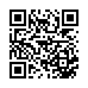 Barrettes Metaline - Diamanté - Inox pour intérieur et extérieur ERP - Marque Romus_2