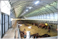 Tunnel d'élevage pour Chèvrerie isolée  - type 12.80m de large_2
