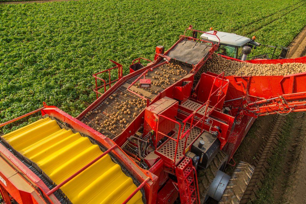 Récolteuse premium GRIMME Varitron 270 avec châssis stable et essieu télescopique