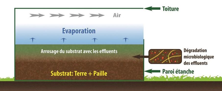 Le phytobac® hermex_2
