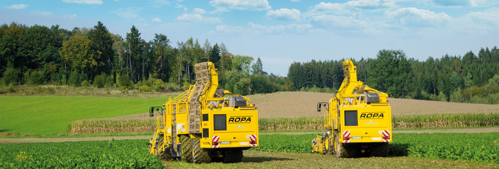 Arracheuse de betteraves euro-tiger v8-4 - ropa france - puissance du moteur 440 kw/598 cv_2