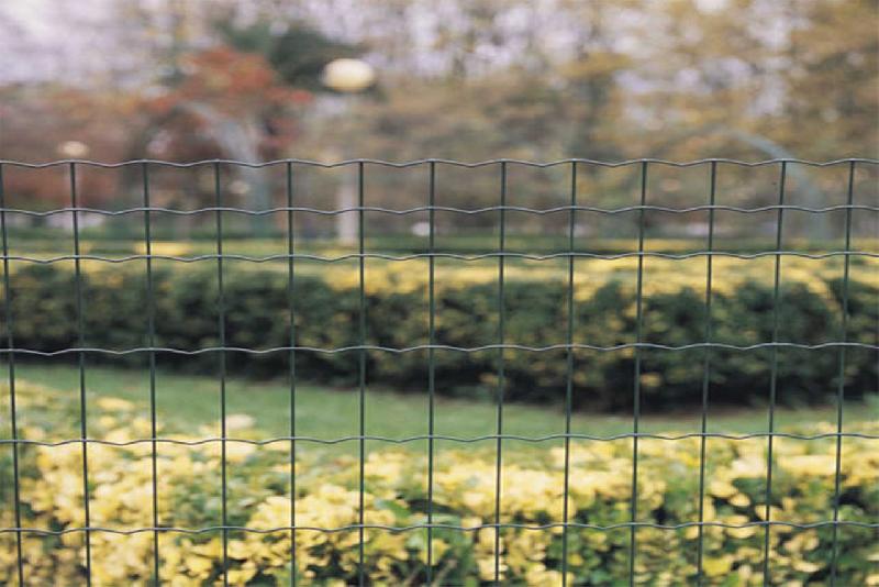 Grillage soudé maille 100x50mm Ral 6005 - 1000_2