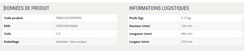 Perforateur & burineur - Ribimex France - SDS à batterie R-BAT20 - puissance d’impact 2,2 joules - PRBAT20/PERFPRO_2