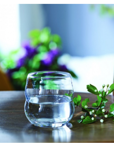 Verre à onde de forme et fleur de vie - sans plomb - Verre revitalisant en borosilicate_2