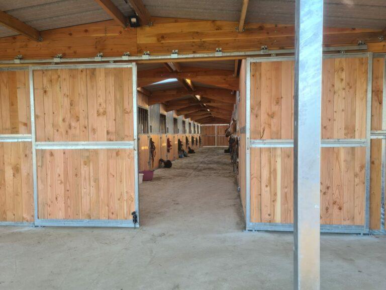 Barns en Bois Douglas et ossature métallique - BARN001 - Solidité et Confort_2