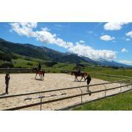Clôture de carrière - Horse Stop - Lice Assurance, 1 lice déportée sur bordure béton - Ref. Nc3-1b_2