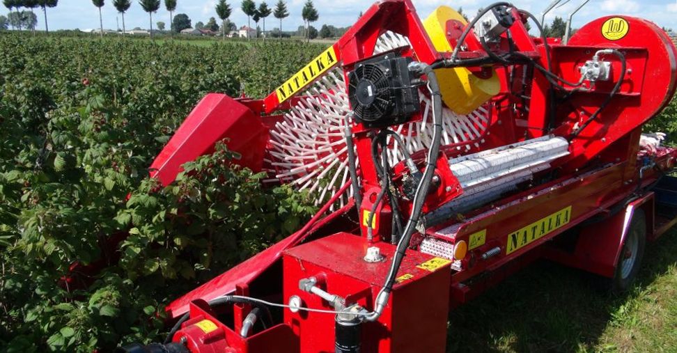 Récolteuse à framboises NATALKA - WEREMCZUK - productivité 0.1 à 0.15 ha/h - puissance minimale requise 35 HP_2