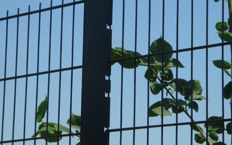 Panneaux rigides - double fil - hauteurs variées - couleurs standards_2