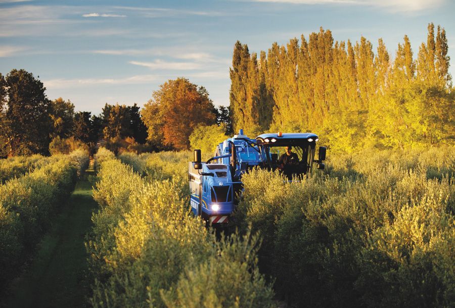 9090X Olive New Holland dotée de 42 secoueurs pour la récolte d’olives