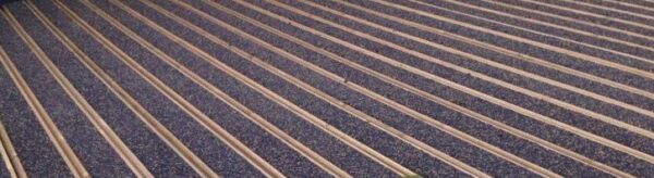 Bande antidérapante à visser, pré-percée - Adaptable à tous supports - Divers formats disponibles_2