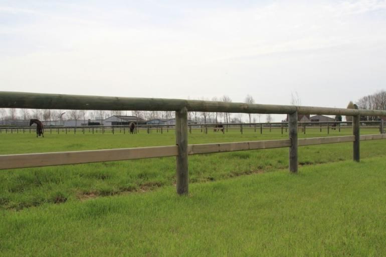 Square Safety - Clôture de carrière pour chevaux - De Sutter Naturally - Hauteur 0,75m - Pin traité en autoclave_2