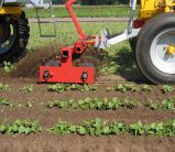 Bineuse à cage - k.U.L.T.-kress - vitesse de travail 3 - 12 km/h_2