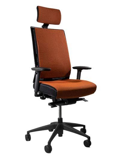 Fauteuil ergonomique de bureau avec mousse à mémoire de forme - ERGOLINE MARCEL - Grand dossier réglable et accoudoirs 4D_2