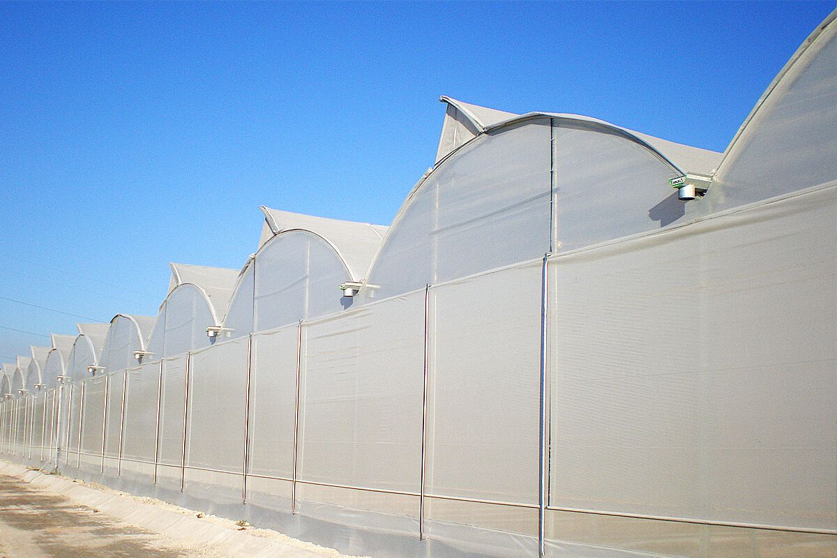 Serre chapelle - ulma agrícola - largeur de chapelle 6.4 à 10 m_2