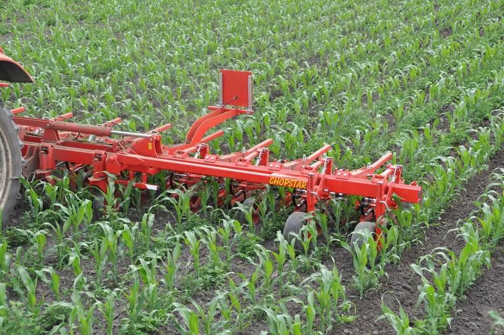 Chopstar 5-90 - Bineuse agricole Einböck pour inter-rangs jusqu'à 90 cm avec dents vibro_2