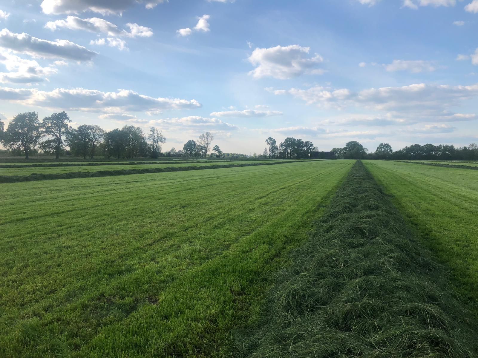 Respiro R9 Profi - Andaineur à tapis - RT Engineering GmbH - Châssis à 4 roues - 8 disques patins - Entraînement hydraulique_2