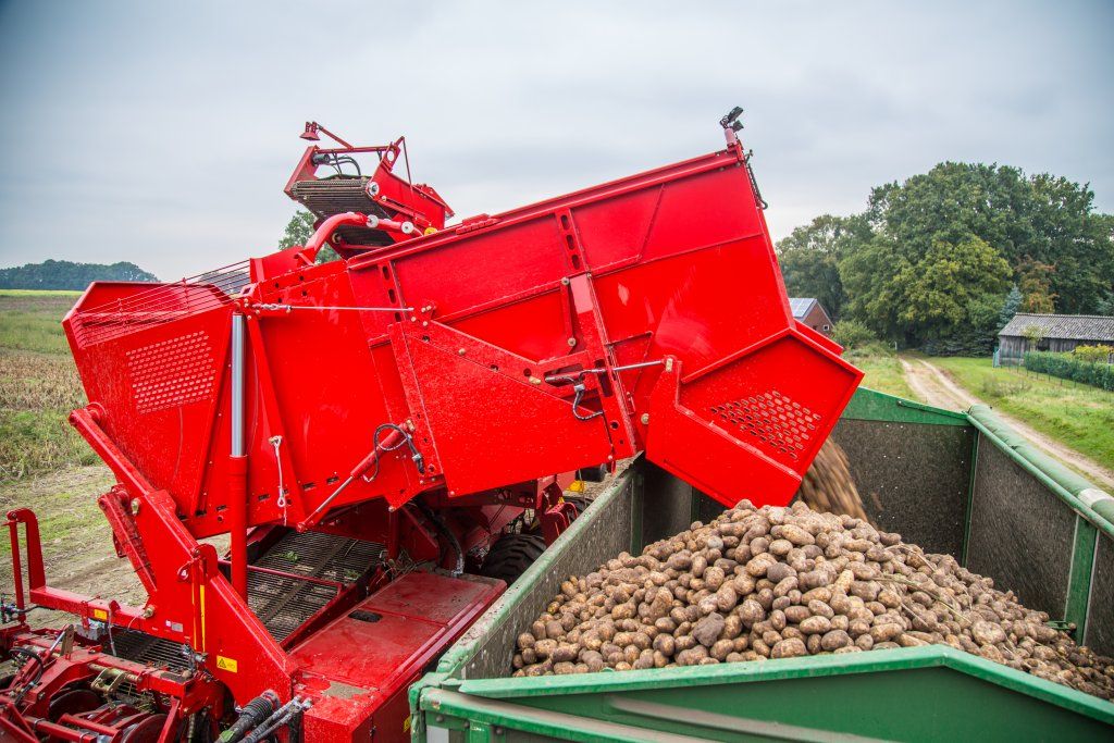 Arracheuse de pommes de terre Evo 290 avec traitement doux et haute capacité