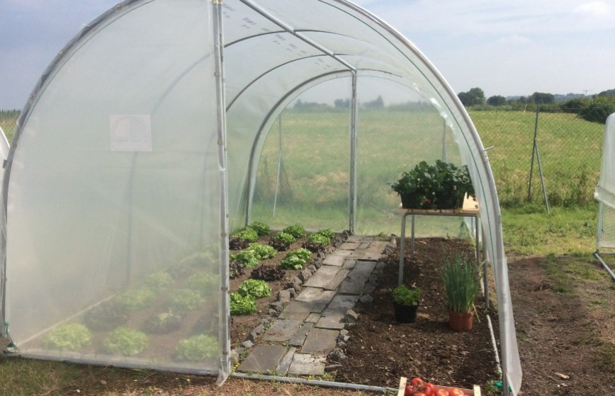 Serre de jardin simple, fonctionnelle et pratique pour tous les jardins en gardant une hauteur conséquente- ESSENTIELLE_2