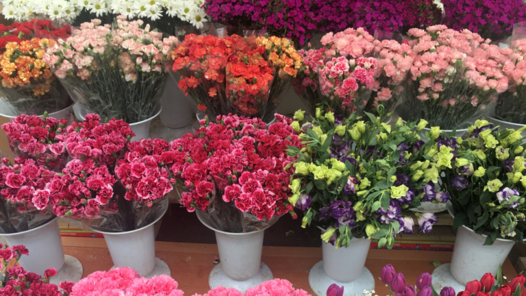 Caisse enregistreuse tactile pour fleuristes - Pack complet avec options logiciel premium et lecteur code-barres_2