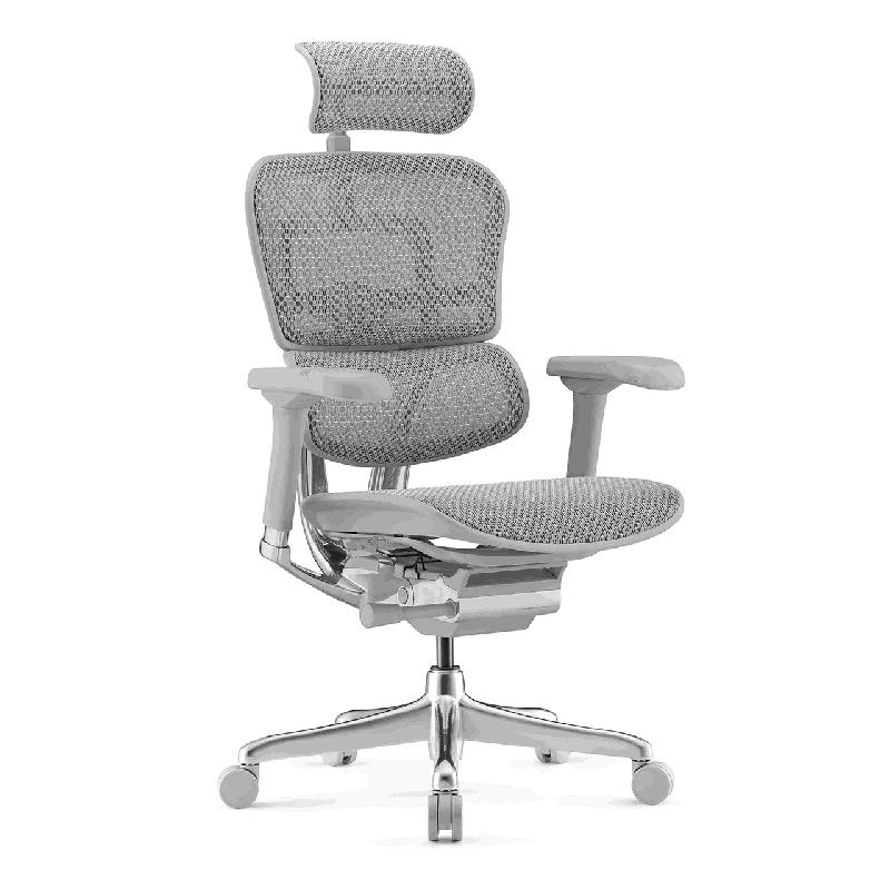 Fauteuil Ergonomique de Bureau EHE2 - Gris clair_2