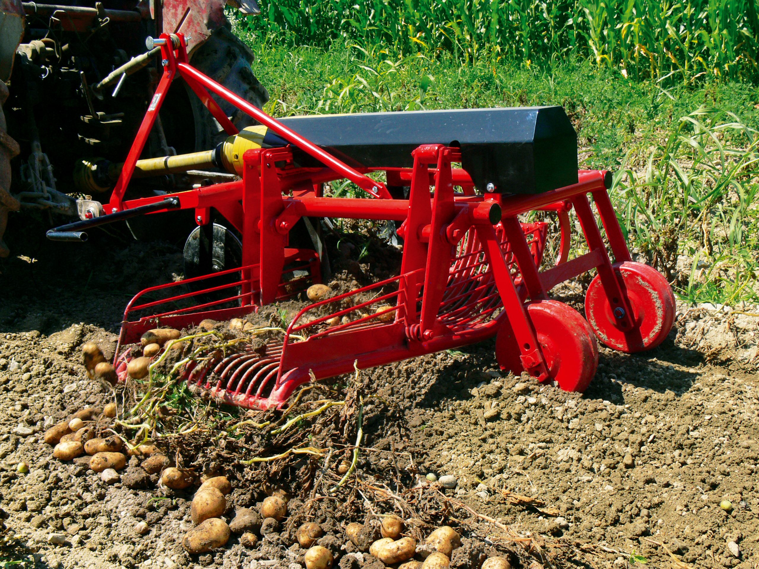 Arracheuse de pommes de terre - tehnos - efficacité 0.25 ha/h - puissance du tracteur 22 à 40 kw - vitesse de travail 3 km/h_2