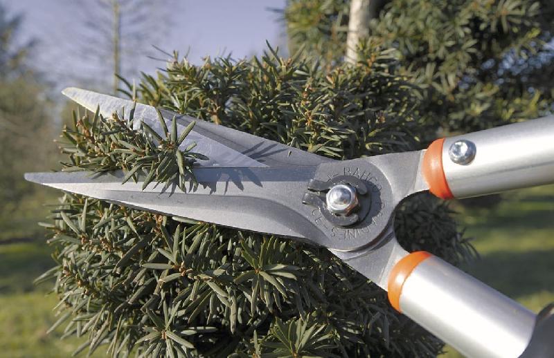 Cisaille à haies Bahco Pradines P52 - légère, compacte, idéale pour l'art topiaire, avec étui cuir_2