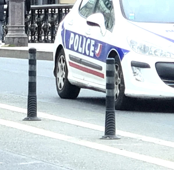 Balise flexible circulaire de jalonnement_2