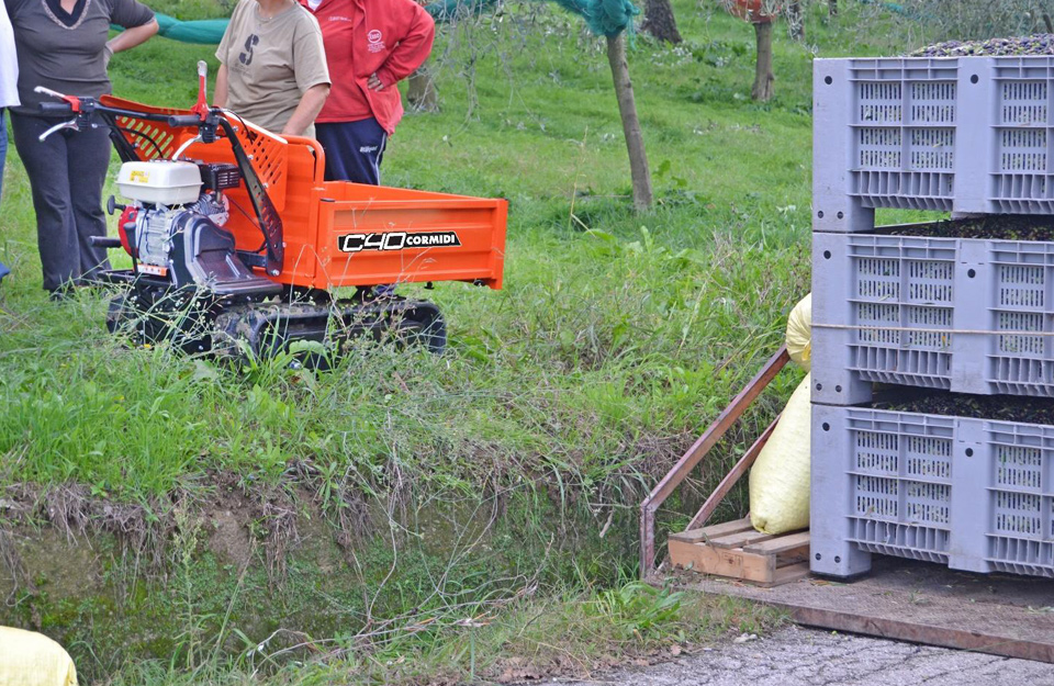 Mini-dumper à moteur sur chenilles - Série 40 Cormidi - Maniable, robuste et capacité 400kg_2
