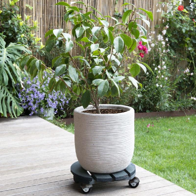 Roule-plante en bois rond anthracite - modèle Basics - diamètre 30 cm_2