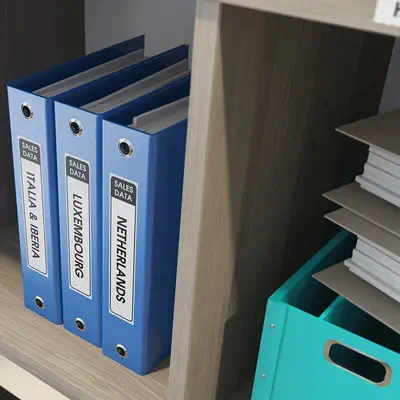 Brother DK-22210 ruban d'étiquette Noir sur blanc_2