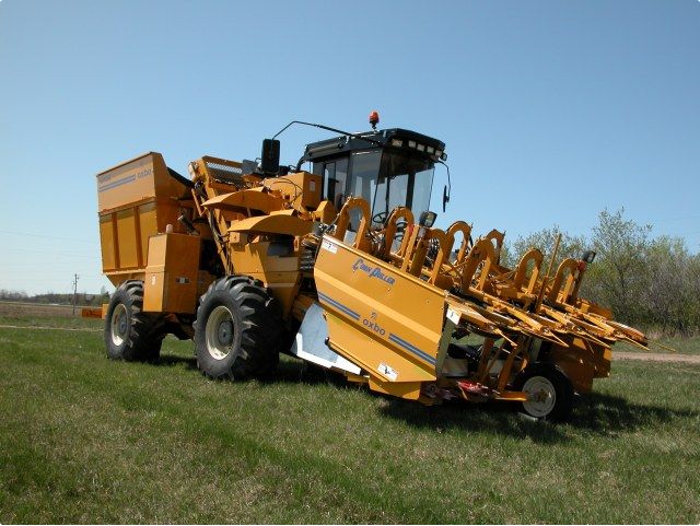 Récolteuse multi-légumes Oxbo 2430 - Sweere Food Processing B.V - moteur John Deere 173 HP - capacité 4545 kg_2