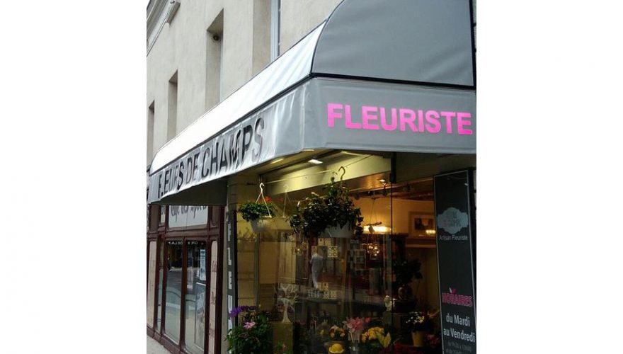 Store banne personnalisable ou standard - protection solaire optimale, modèles manuels ou motorisés_2