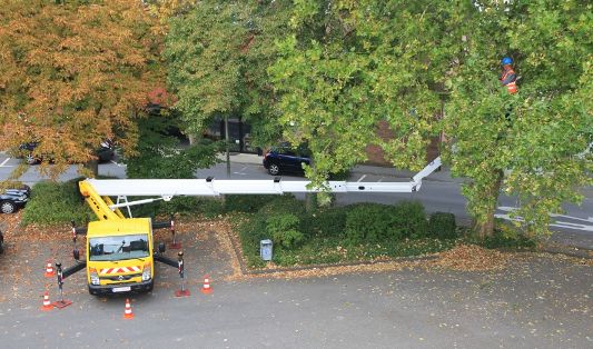 Nacelle élévatrice avec rotation de panier 2 x 85° et capacité de charge 230 kg