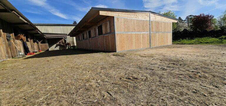 Boxes pro dos à dos en bois Douglas - BOX038 - Robustesse et élégance pour votre écurie_2