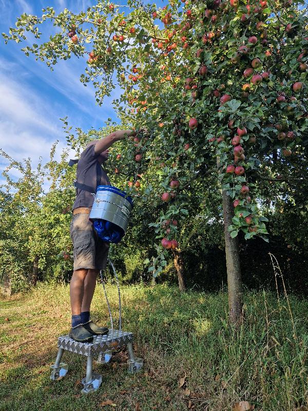 Plateforme de travail tout terrain - antidérapante avec anse semi-rigide - hauteur 30 cm_2