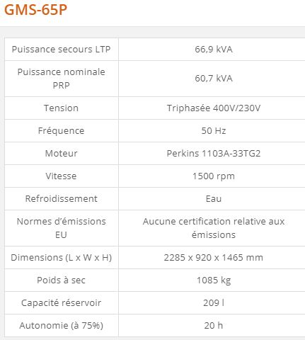 Groupe électrogène industriel GMS-65P - Generac - 66,9 kVA - Série GMS Standard_2