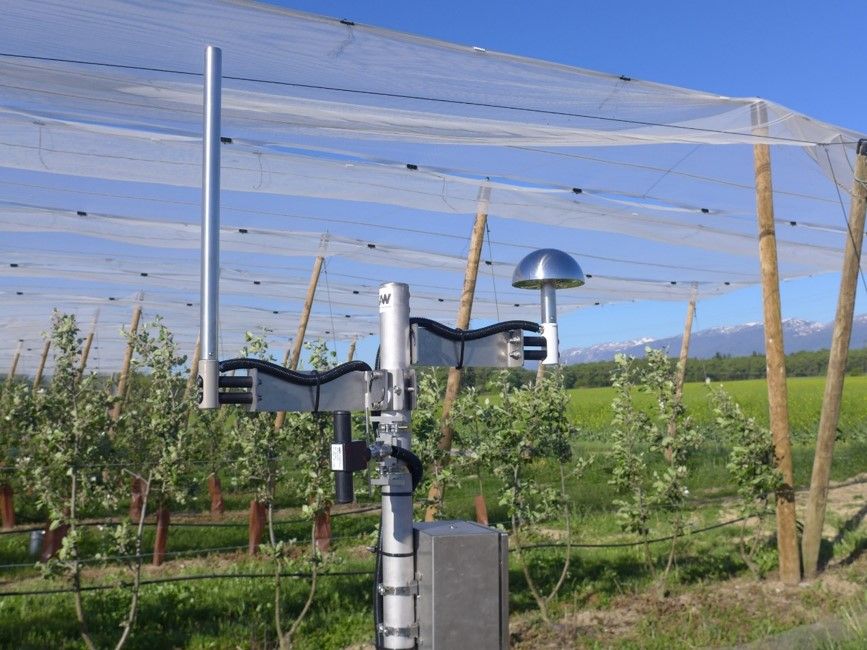 Disdromètre Sommer RHD - Détection pluie et grêle - Instrument acoustique économe en énergie_2