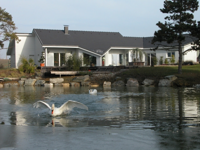 Maison à ossature en bois à étage Charlotte - toit multipente_3