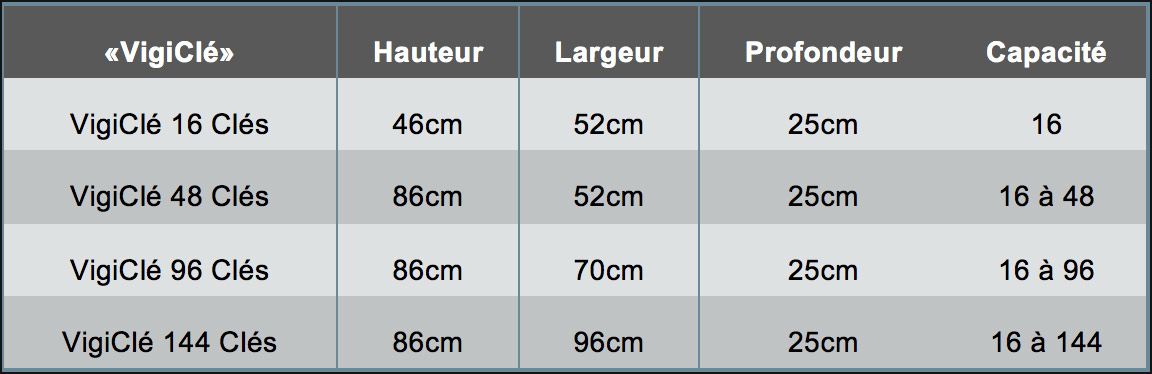 Armoire de sécurité pour clés avec historique des utilisateurs Vigiclé