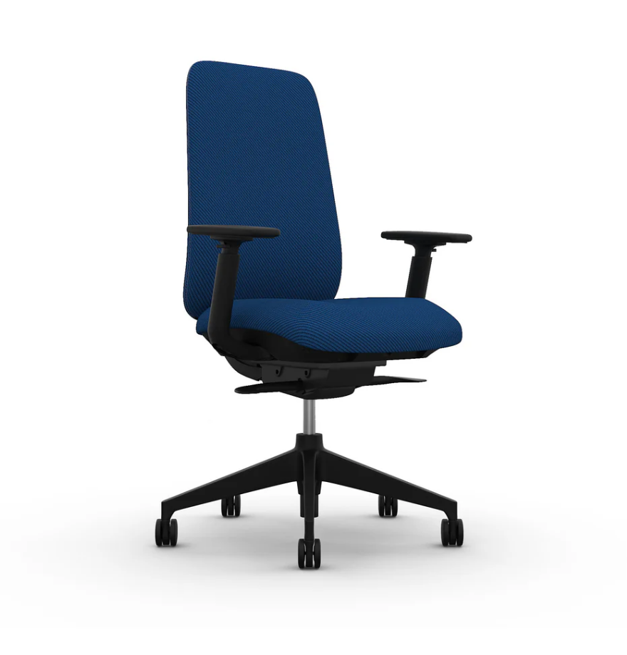 Fauteuil de bureau ergonomique - assise inclinable, réglages avancés et soutien lombaire_2