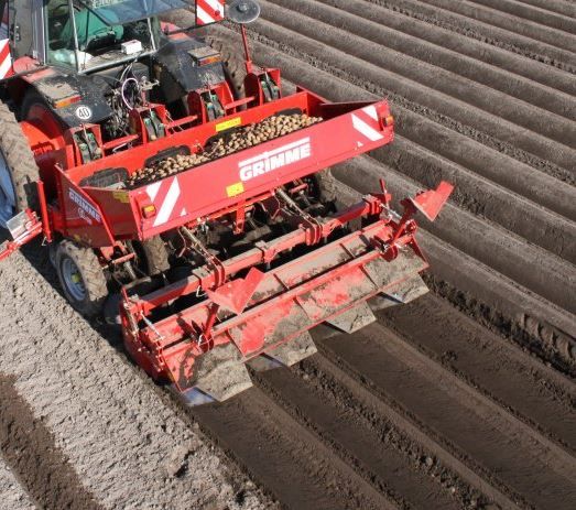Planteuse portée légère Grimme GL 410 adaptée aux sols légers