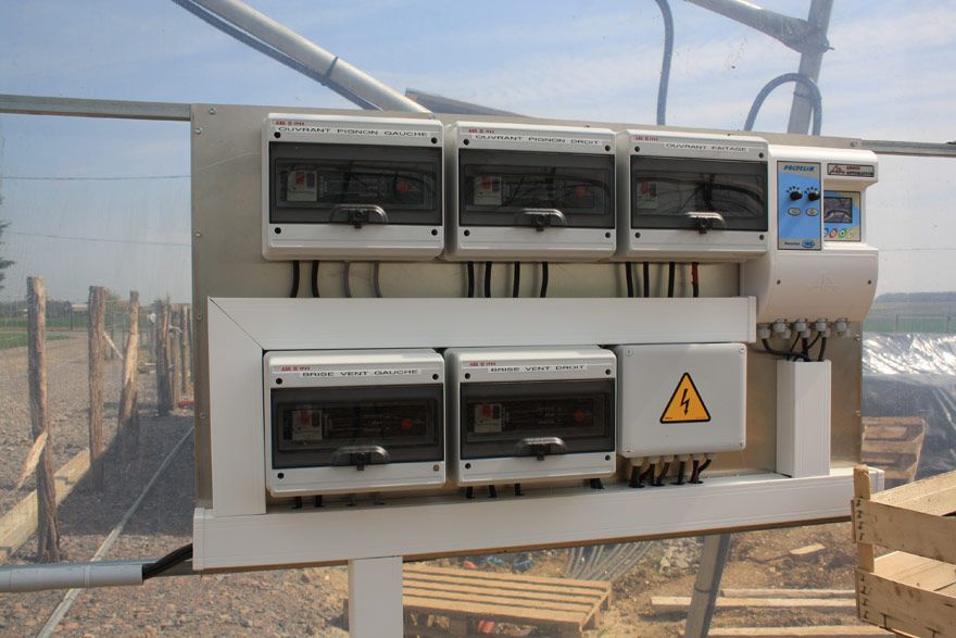 Serre Baltique pour culture de fraises hors sol