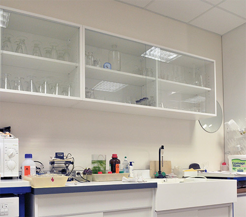 Sur-meuble bibliothèque - 1200 x 300 x 600 mm - Réf RA 8200 - BIOLAB - avec demi-étagères réglables_2