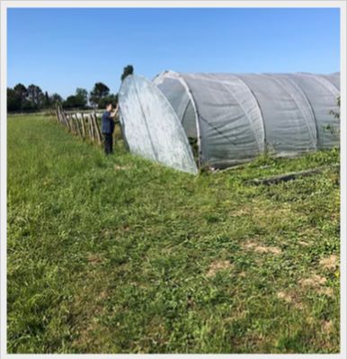 Structure de serre tunnel économique et modulable