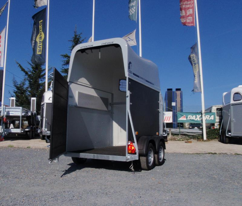 Van 1 place - cheval liberte - gold one_2