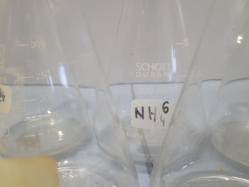 5 Fioles Erlenmeyer 300 ml col étroit Schott_2