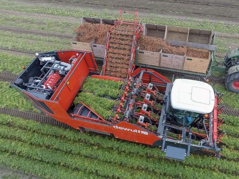 Arracheuse par préhension ZKIV - Dewulf BV - 120 t/h - 4 rangs - largeur 3500 mm - pour carottes fraîches_2