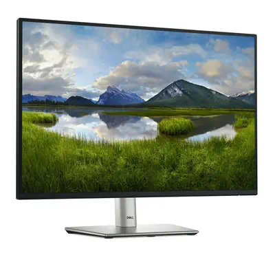 Pro 24 Plus USB-C Hub Monitor P2425E_2